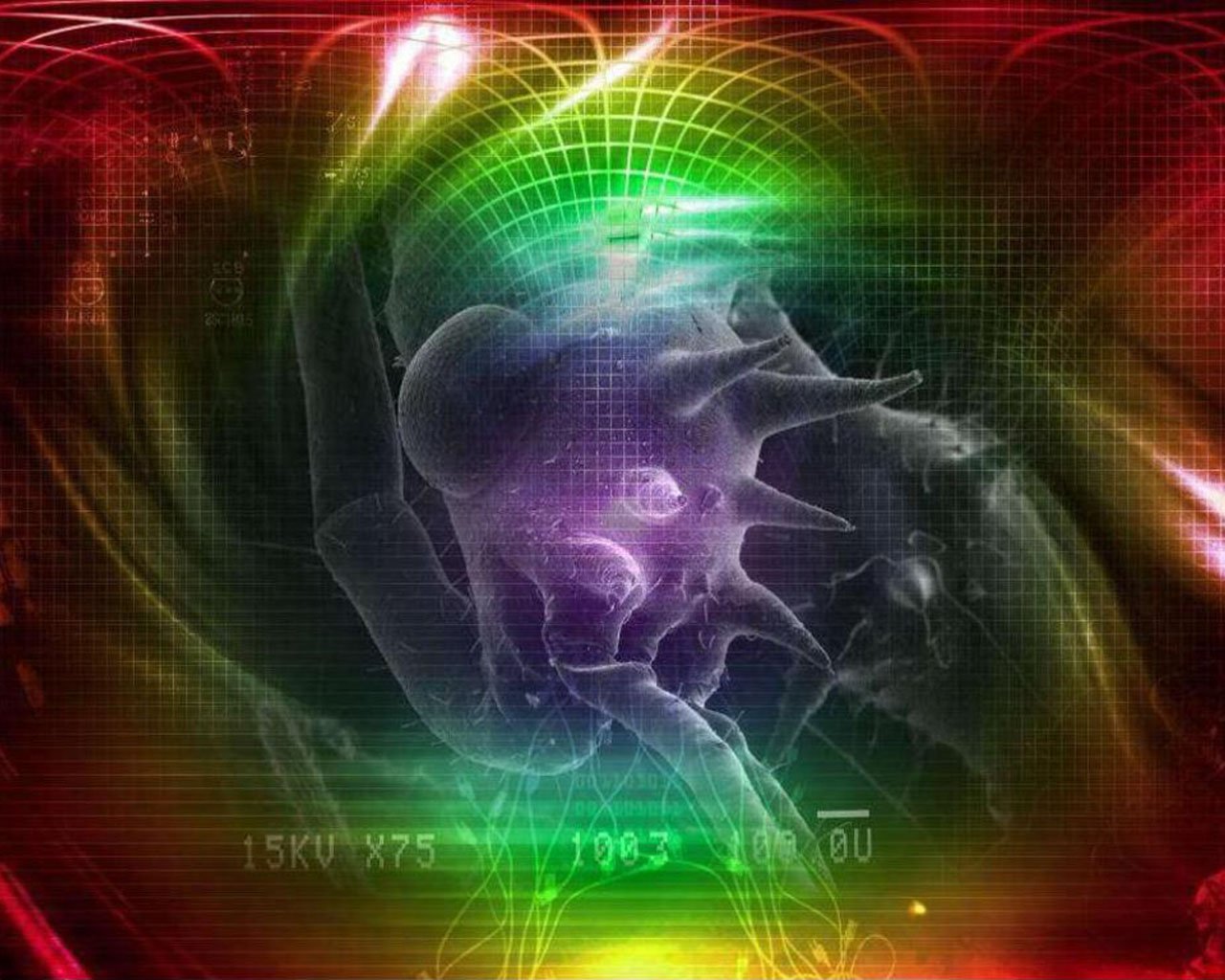 1280x1024_010.jpg