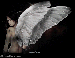 angel102.gif