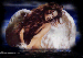 angel124.gif