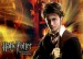 131859harry_potter_4.jpg